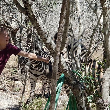 Lionsview Private Lodge - 6 Lions Марлот Парк Екстериор снимка