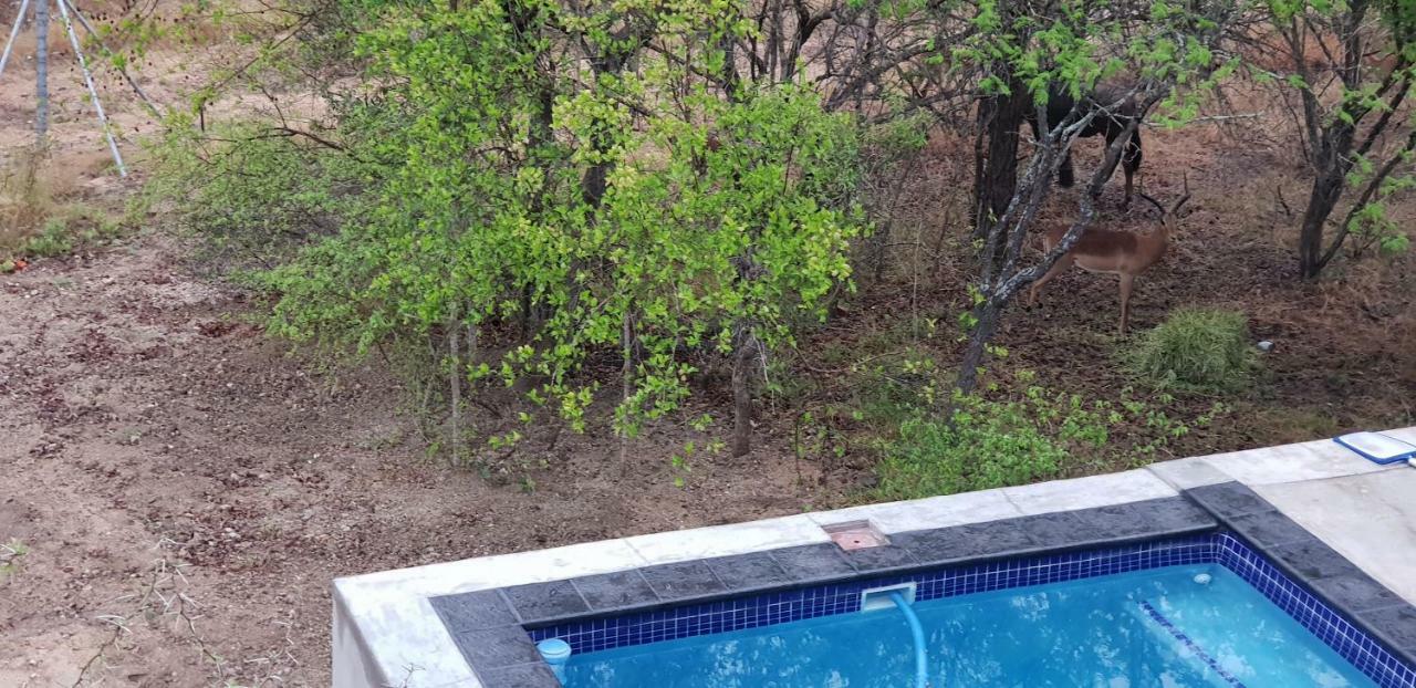 Lionsview Private Lodge - 6 Lions Марлот Парк Екстериор снимка